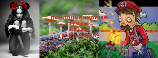 а пвп мука Алексеевка